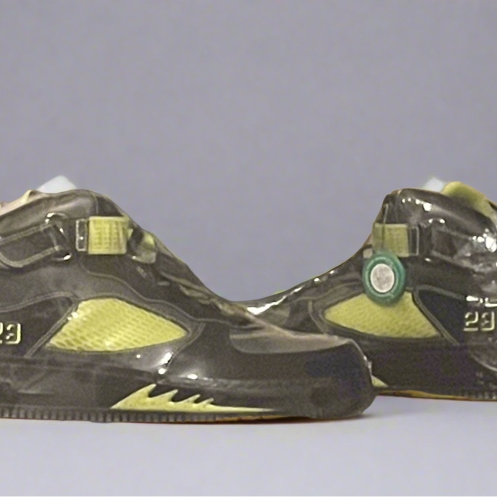 2008 Air Jordan Force 5 LS